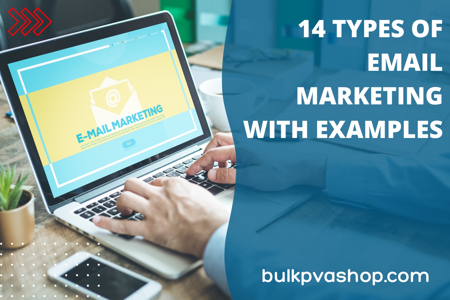 14 Types of Email Marketing With Examples